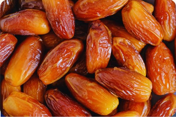 medjool dates